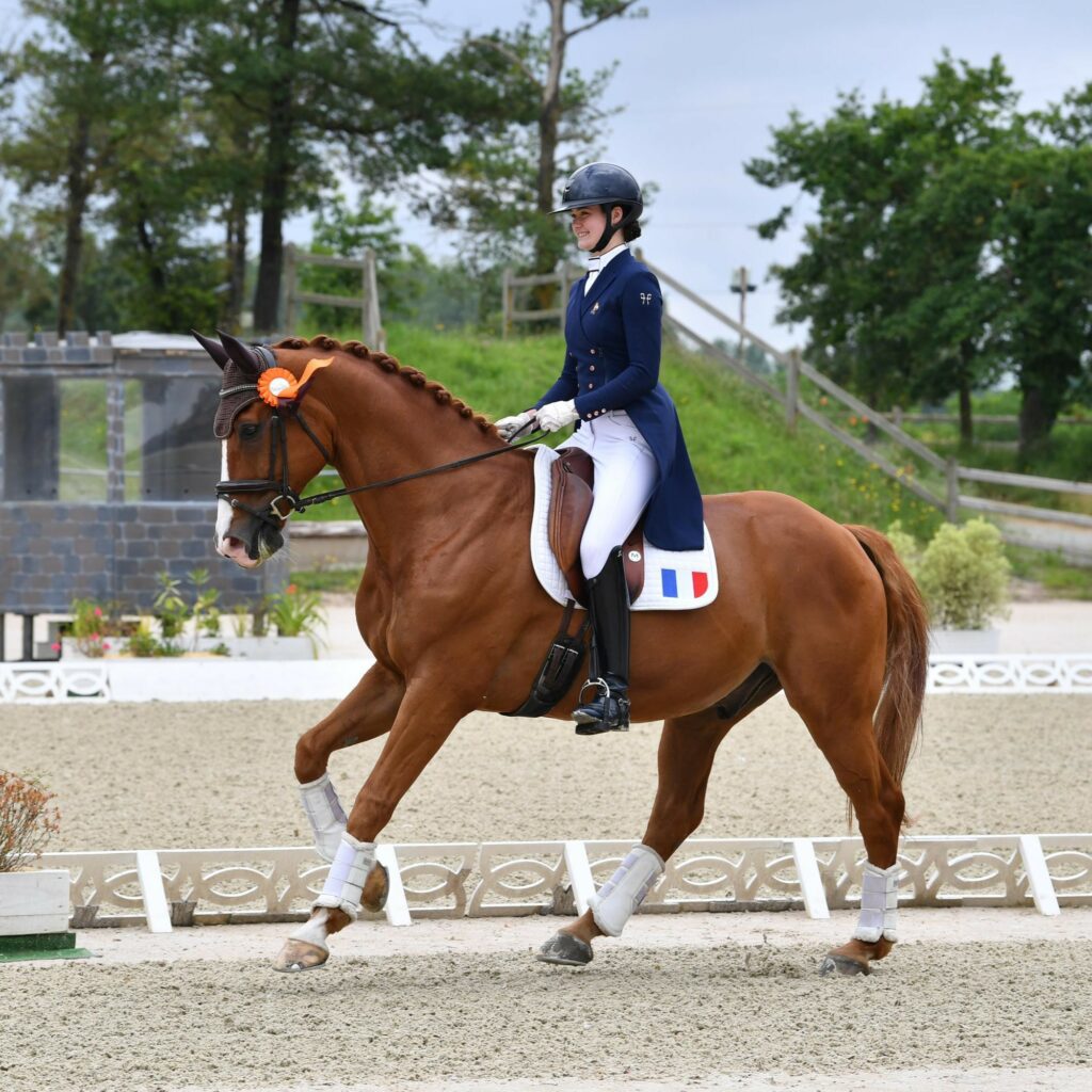 Cheval de dressage amateur pro en compétition sur un carré de dressage