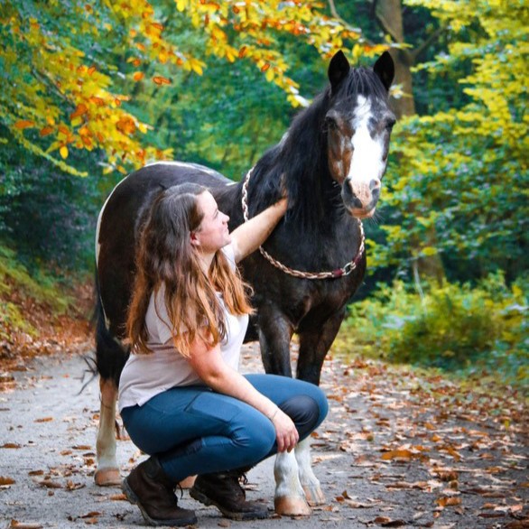 Cheval âgé avec sa cavalière